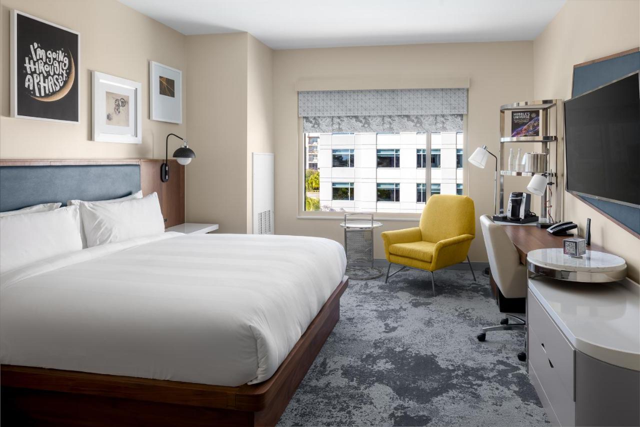 Junior Suite 1 King Sofa bed,1269318943:JPEG