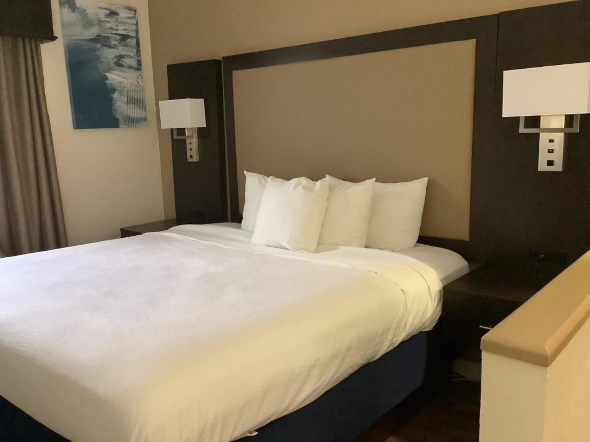 King Suite with Sofa Bed and Wet Bar - Non-Smoking