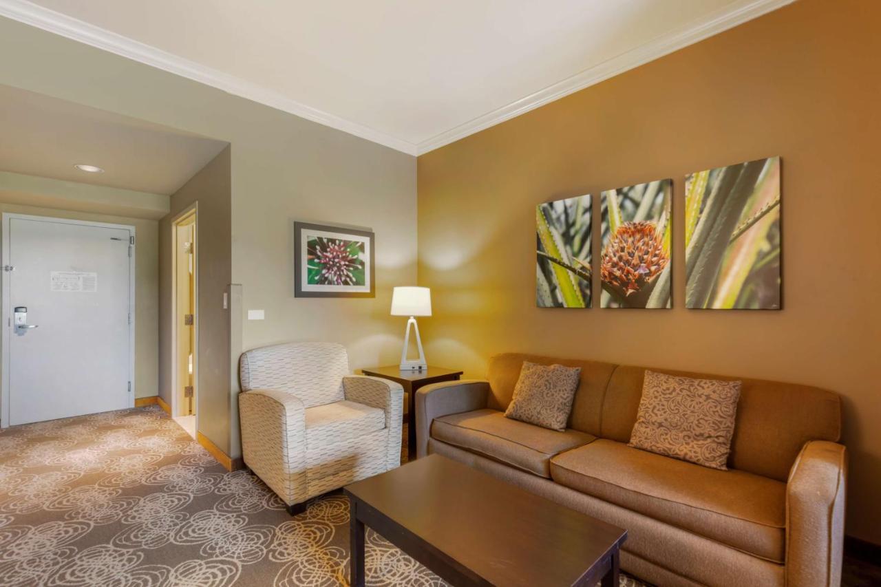 King Suite with Sofa Bed - Non-Smoking,1273278631:JPEG