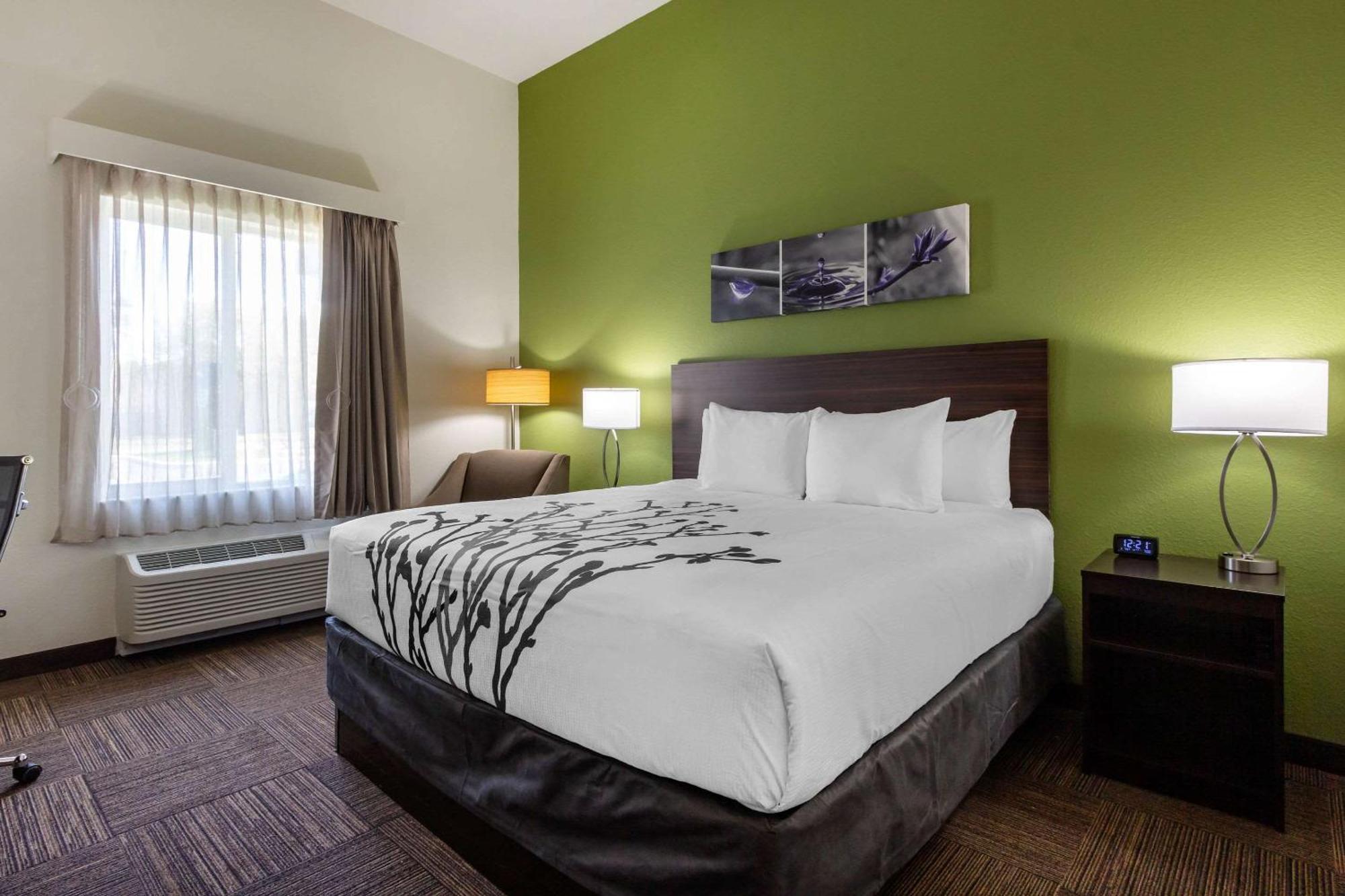 King Room - Accessible/Non-Smoking