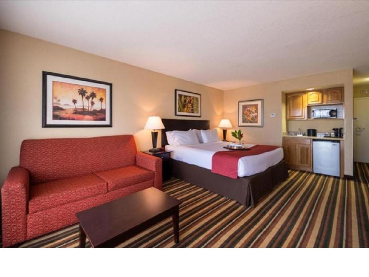 Premium King Room Sofa Bed