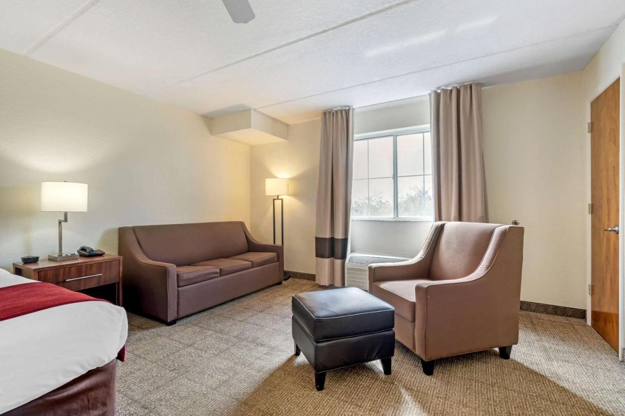 King Room Sofa Bed Non-Smoking