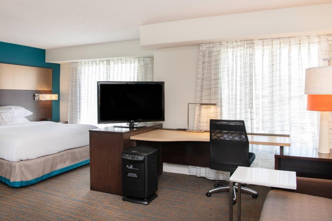 King Studio Suite with Sofa Bed - Allergy Friendly