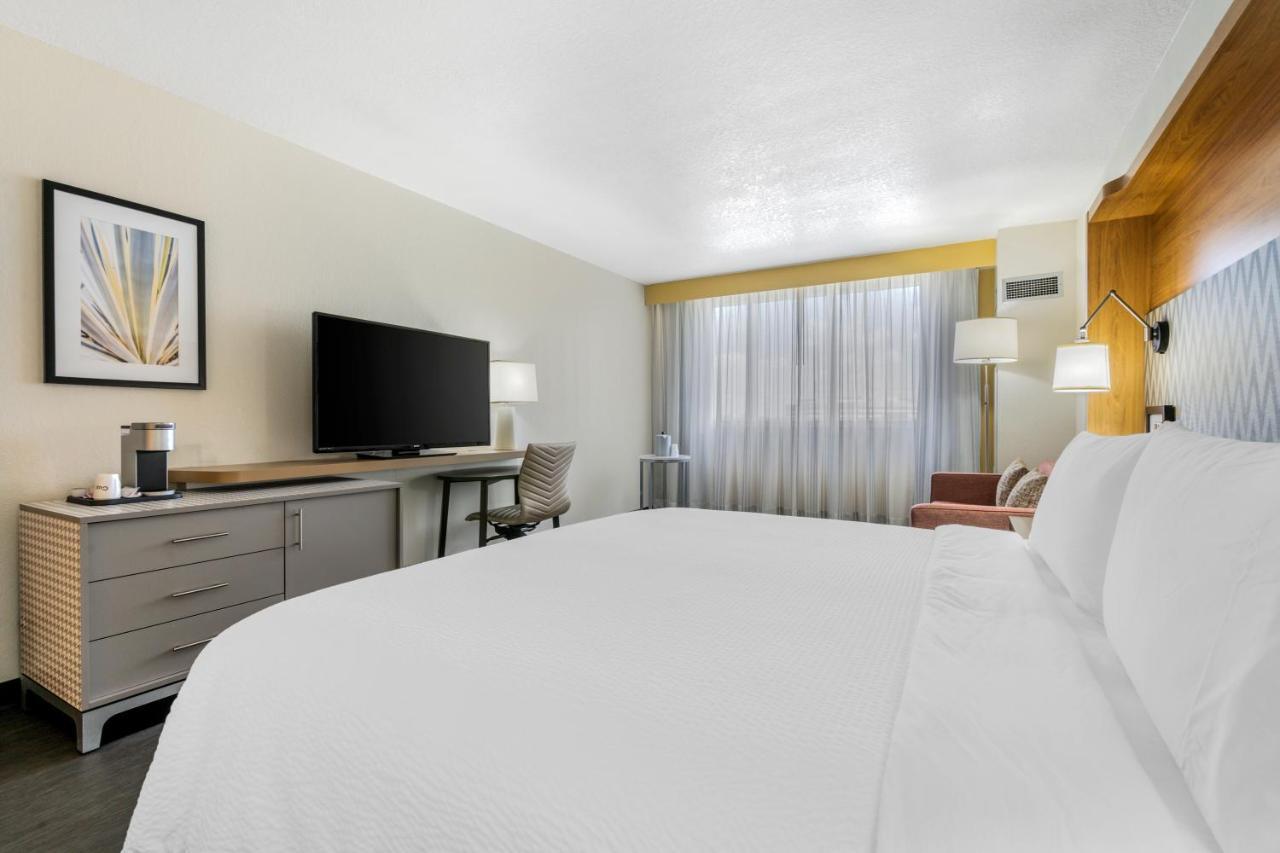 King Room Sofa Bed