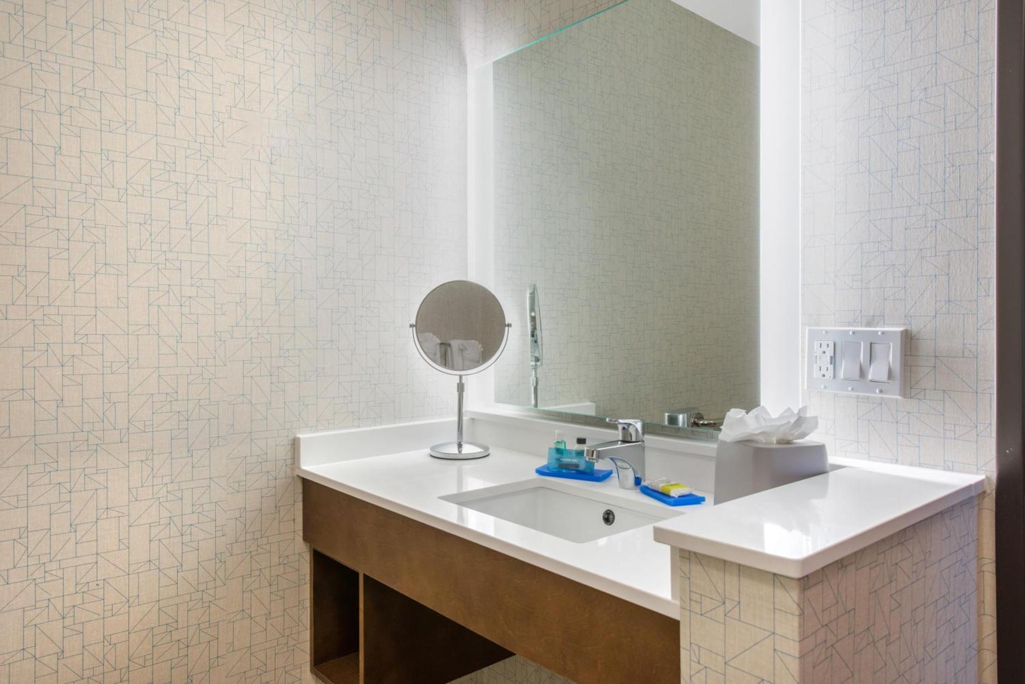 Standard King Room Transfer Shower Communications Access