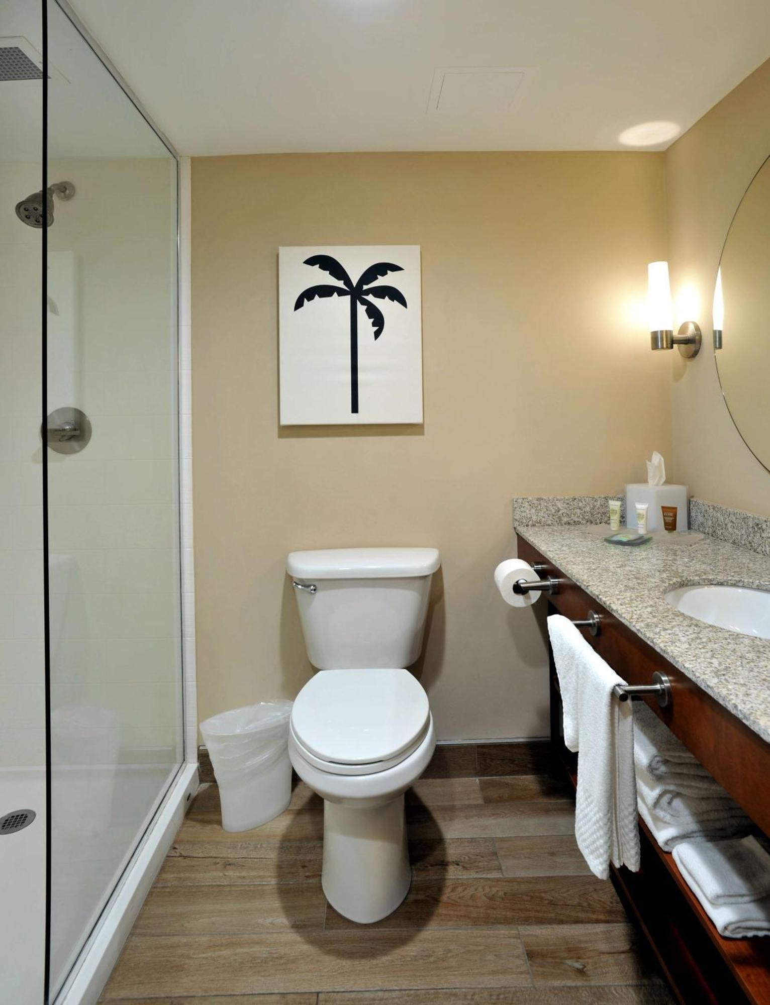 Queen Room Two Queen Beds Shower