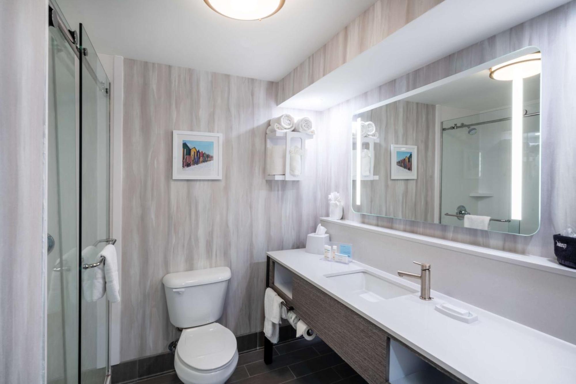 King Room Roll Shower Mobility Hearing Access or Non-Smoking