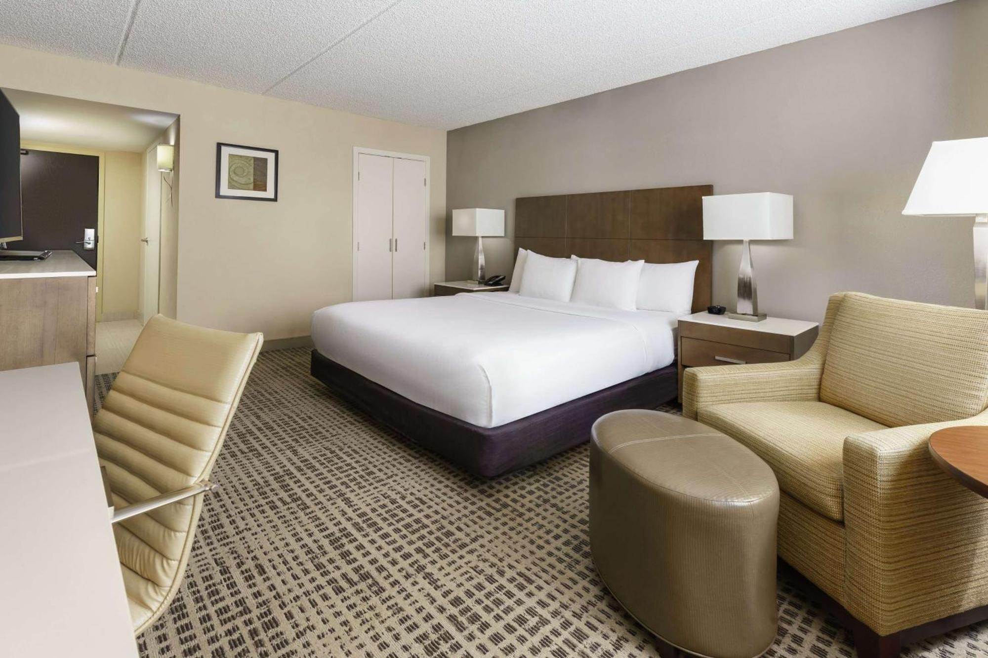 King Room Mobility or Hearing Accessible Bath Tub