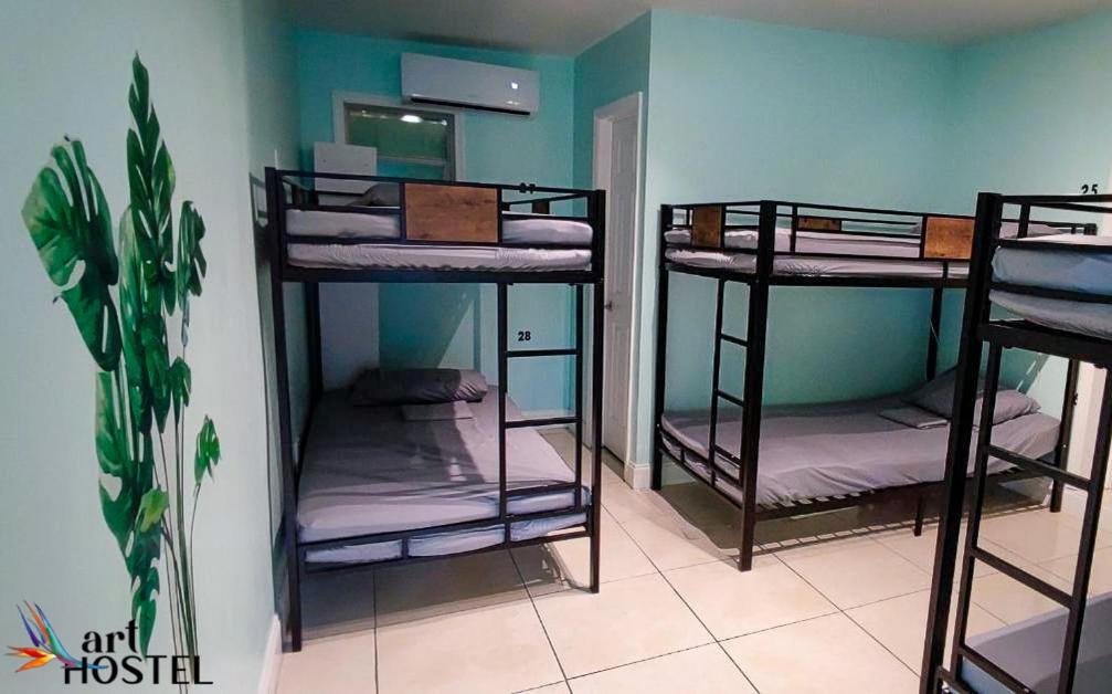 Bed 6-Bed Mixed Dormitory Room
