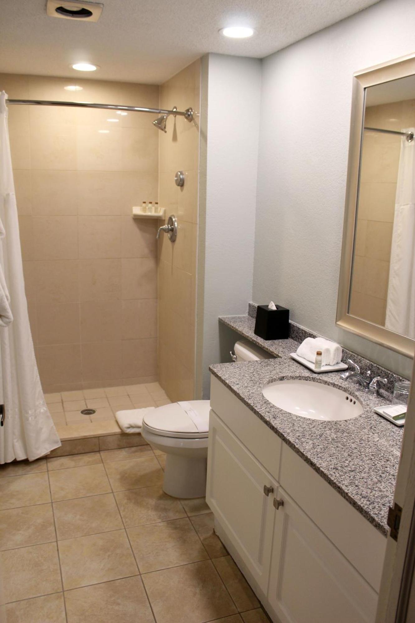 1 Bedroom King Suite