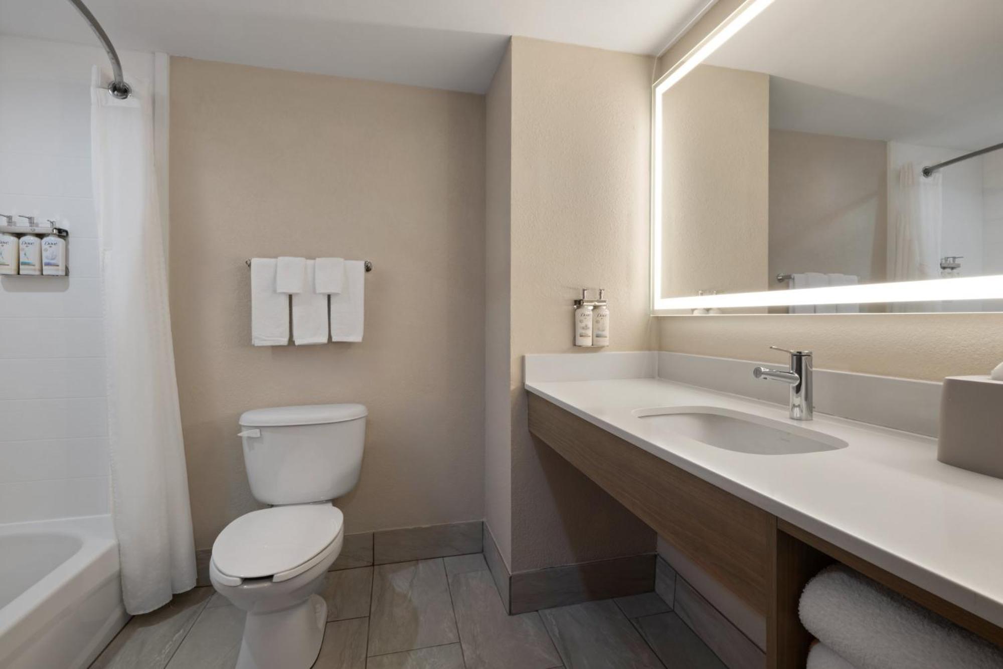 One-Bedroom Suite,1586839483:JPEG