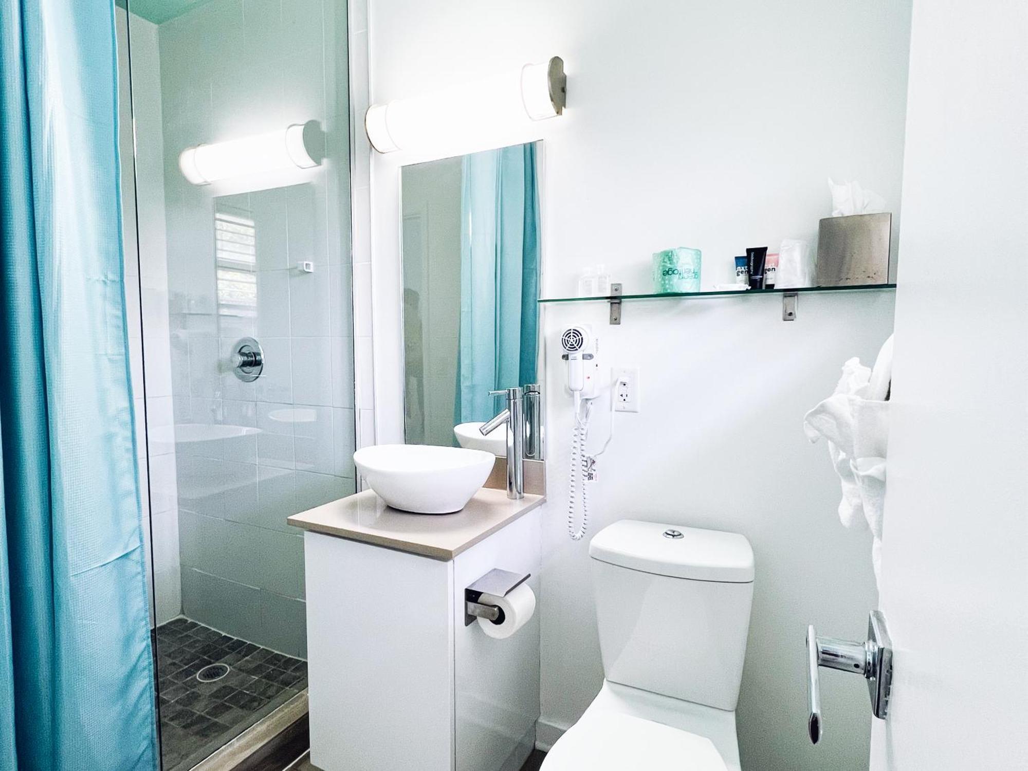 One-Bedroom King Suite