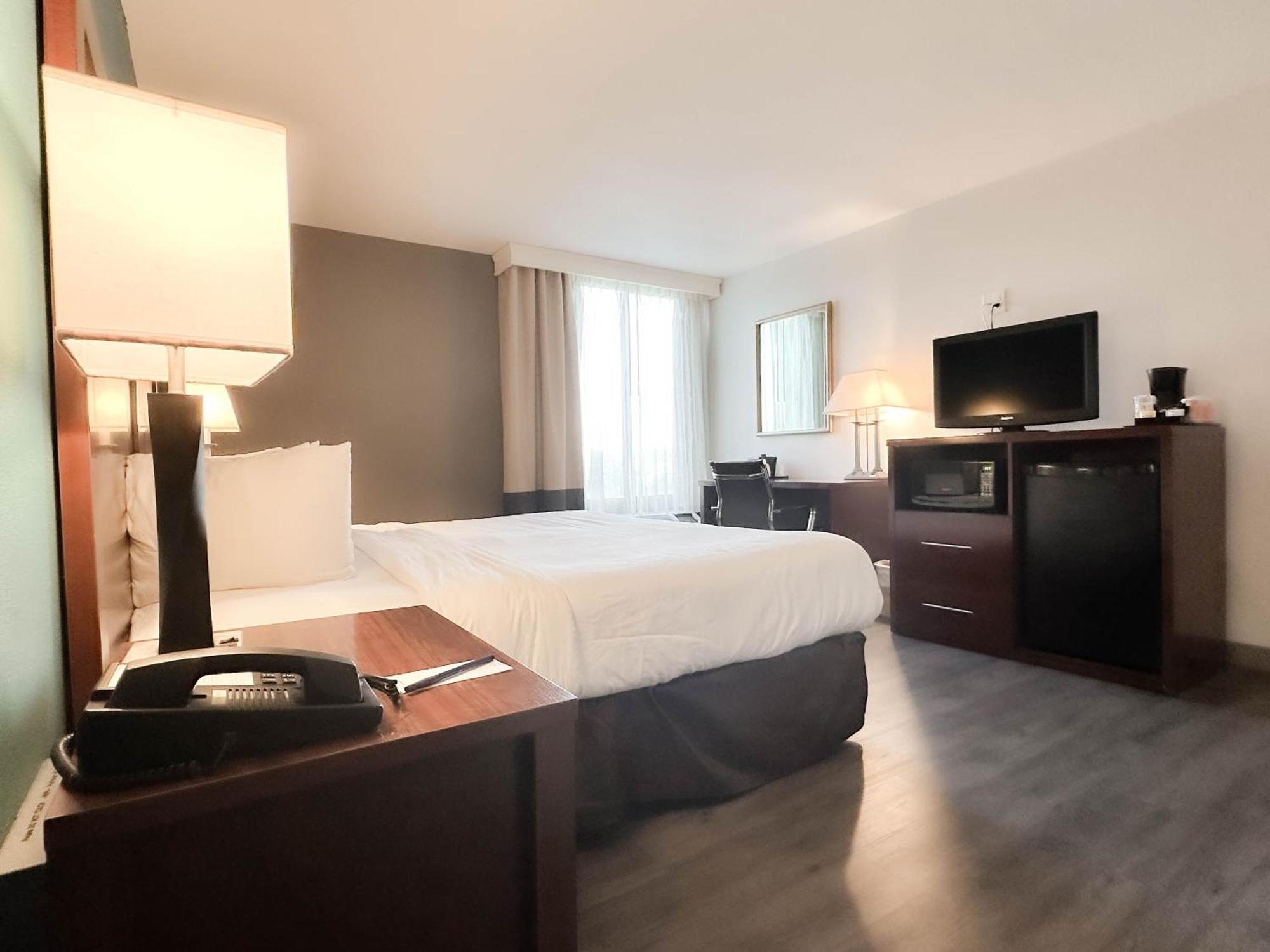 Habitación Deluxe con cama extragrande y sofá cama