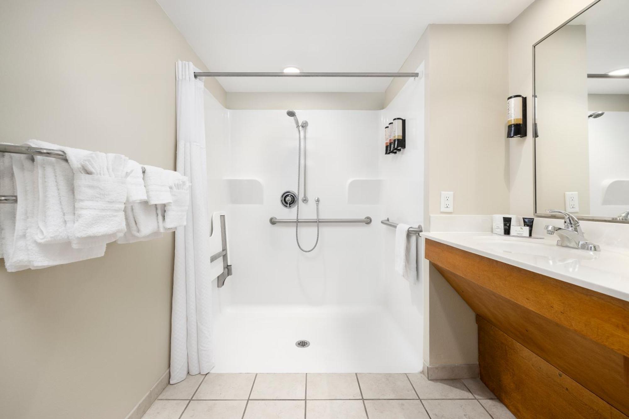 Queen Room Pool View Accessible