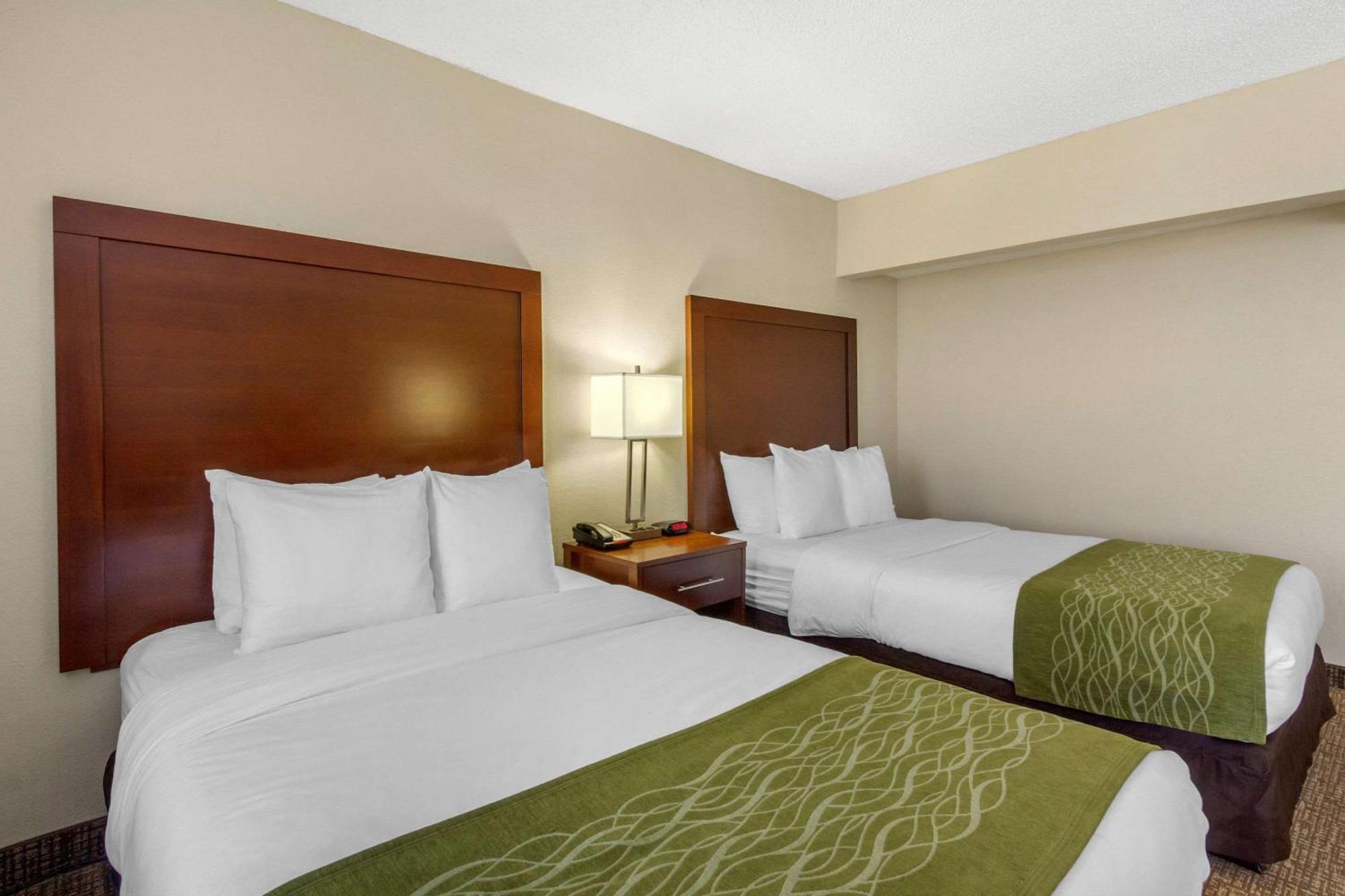 Junior Suite Two Double Beds Sofa Bed Non-Smoking