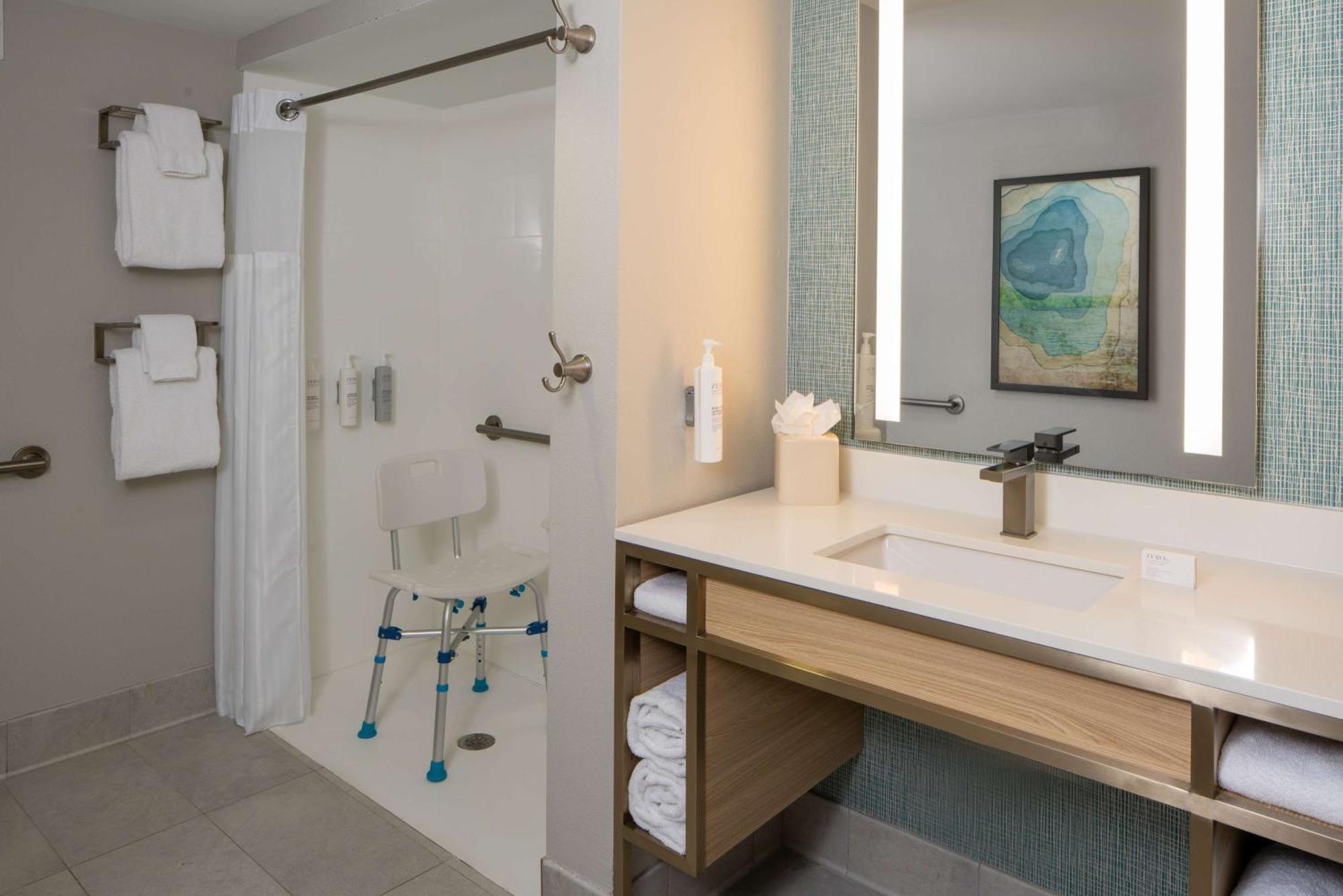 King Room Roll Shower Mobility or Hearing Accessible