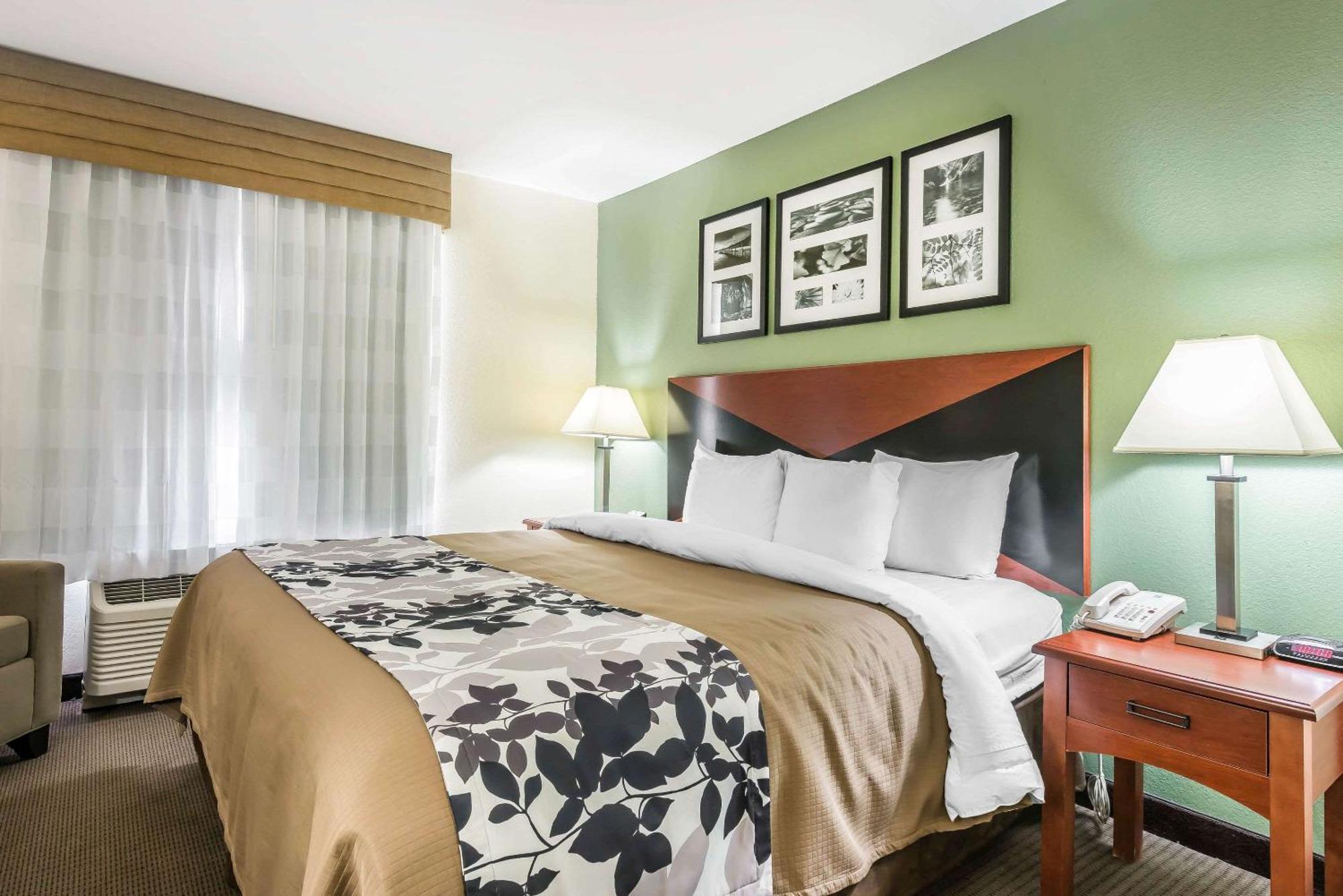 King Room with Roll-In Shower - Accessible/Non-Smoking,1606572971:JPEG