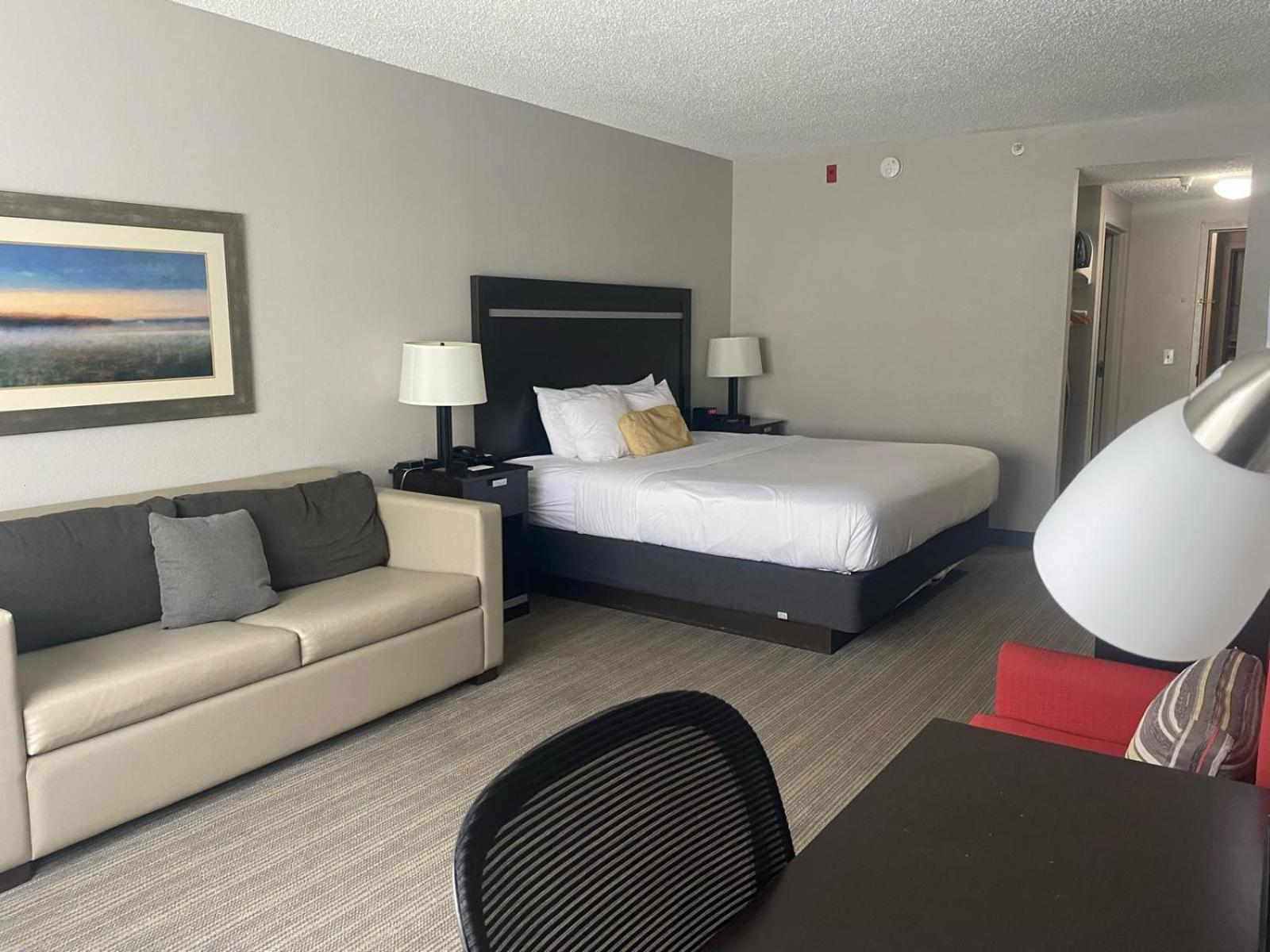 One-Bedroom King Suite Non-Smoking