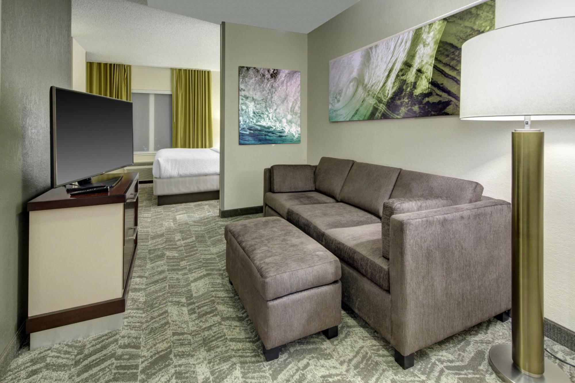 King Suite Transfer Shower Trundle Sofa Mobility Access or Hearing Accessible