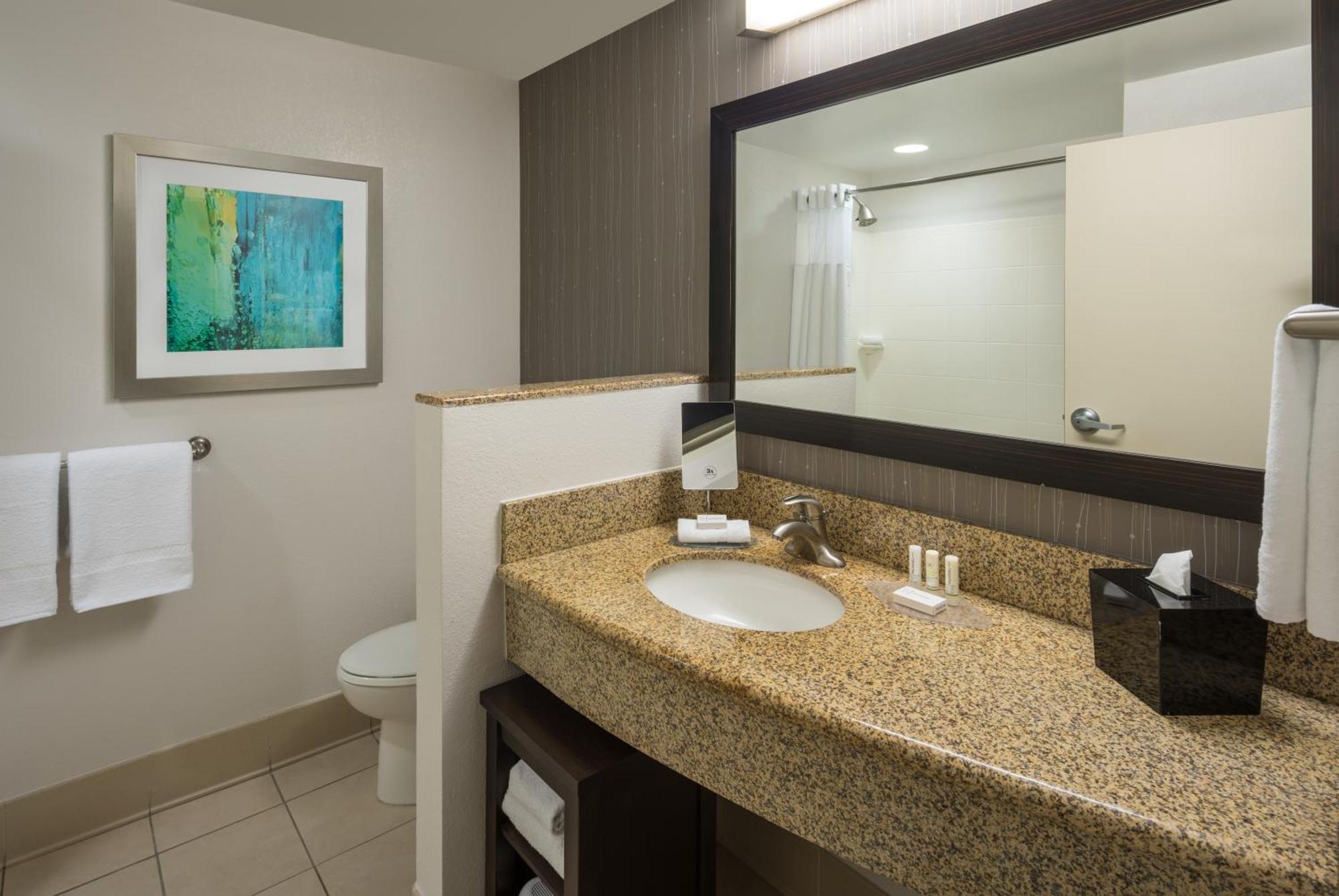 Newly Redesigned King Room Hearing Accessible