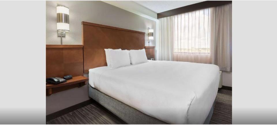 King Room Sofa Bed High Floor