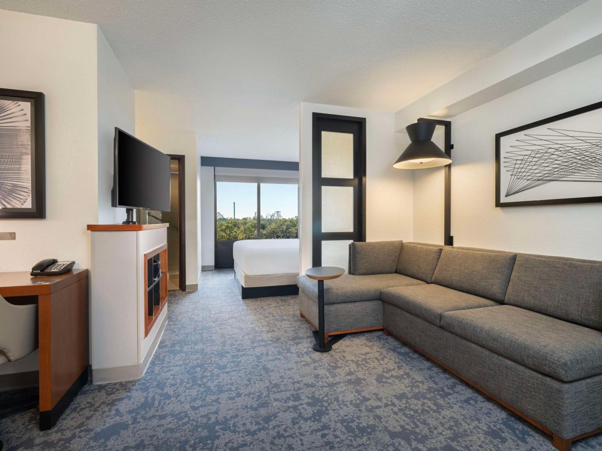Specialty King Room Sofa Bed