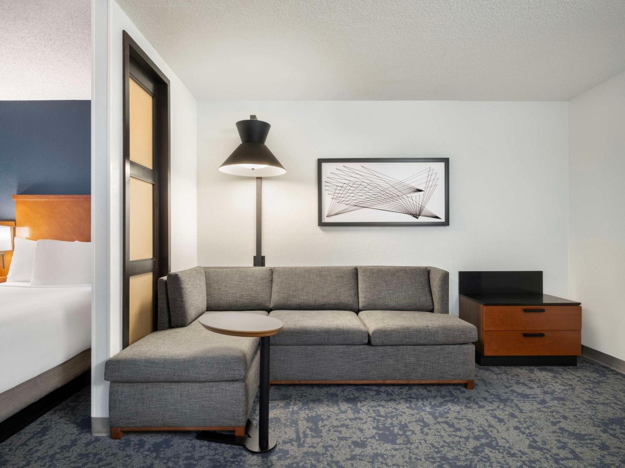 Specialty King Room Sofa Bed
