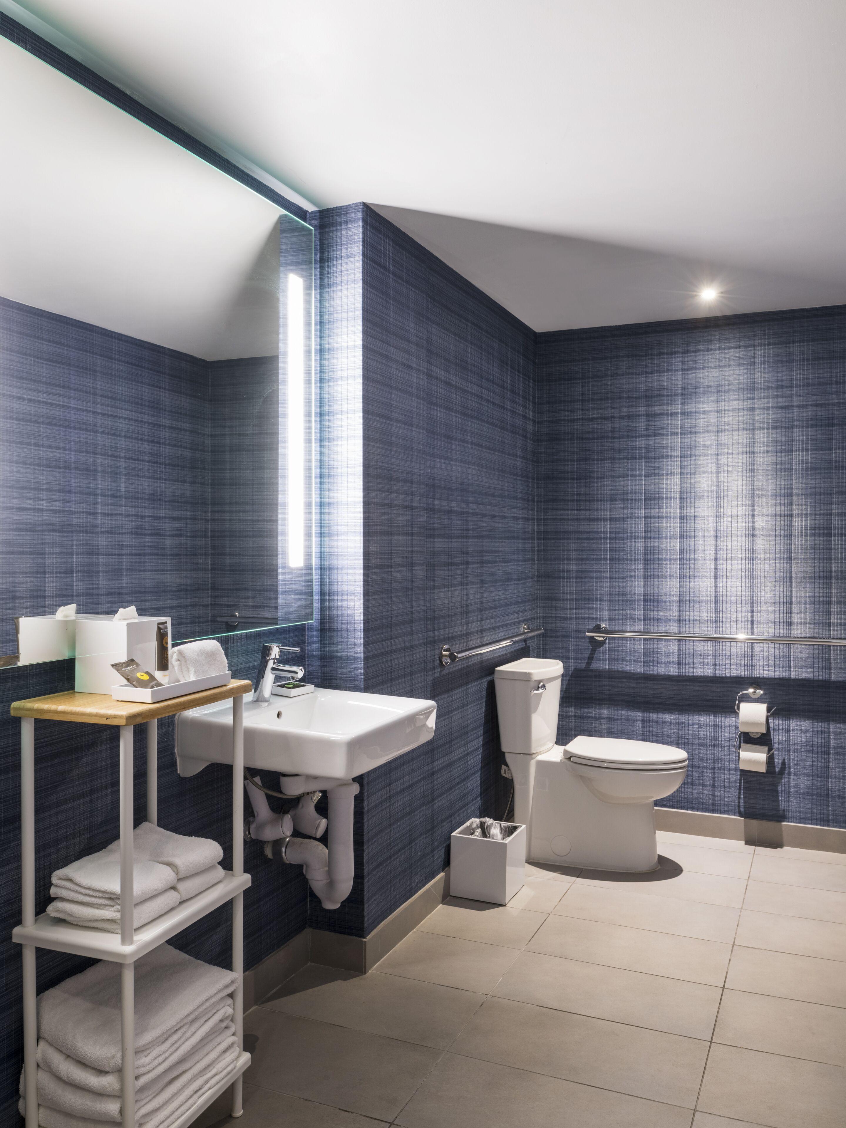 Superior King Room Roll Shower City Park View Mobility Accessible
