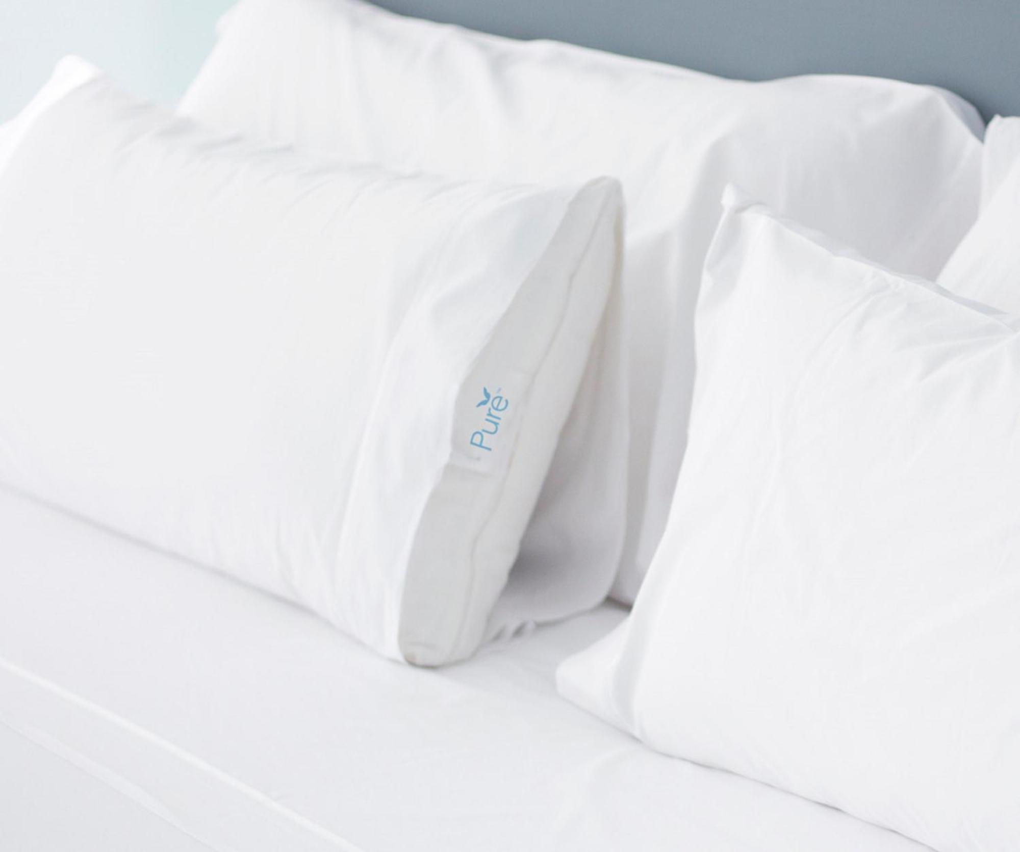 One-Bedroom Suite Pure Wellness One King Bed One Sofa Bed
