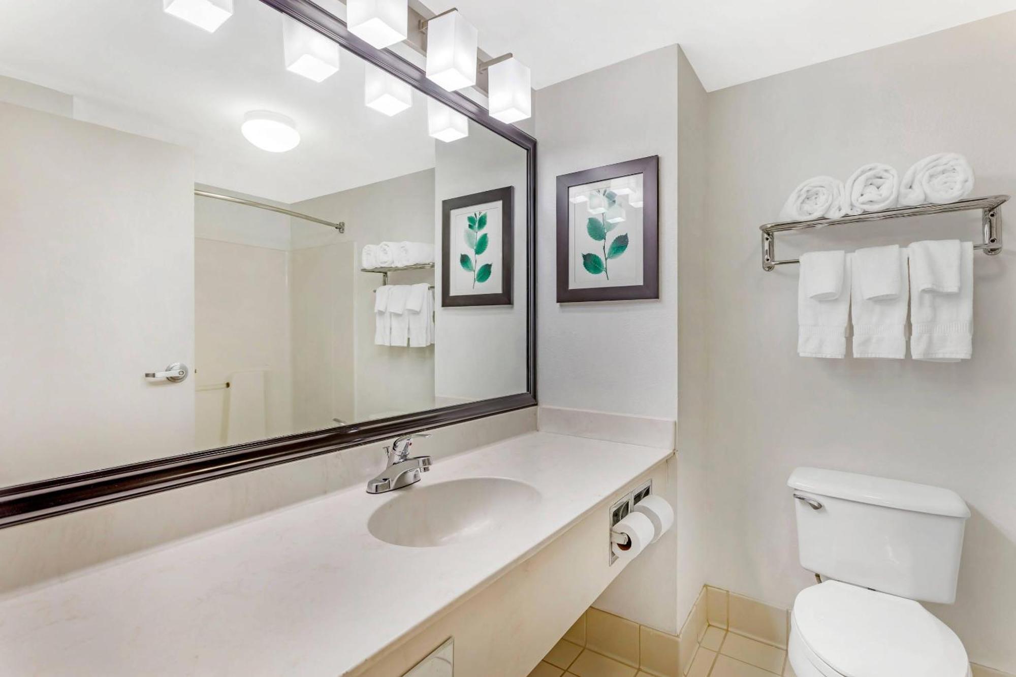 One-Bedroom King Suite Non-Smoking