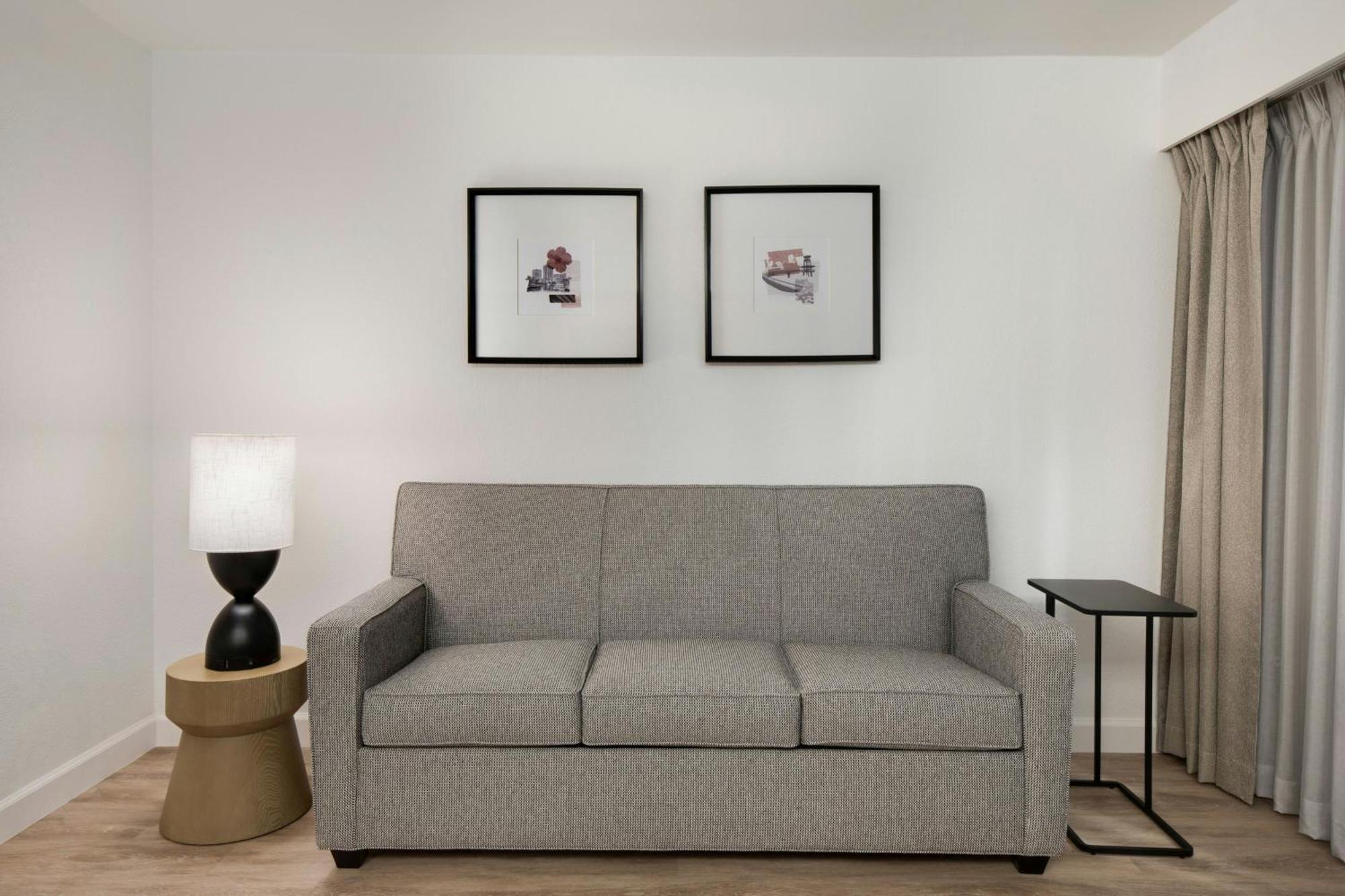 Suite 1 King Sofa bed