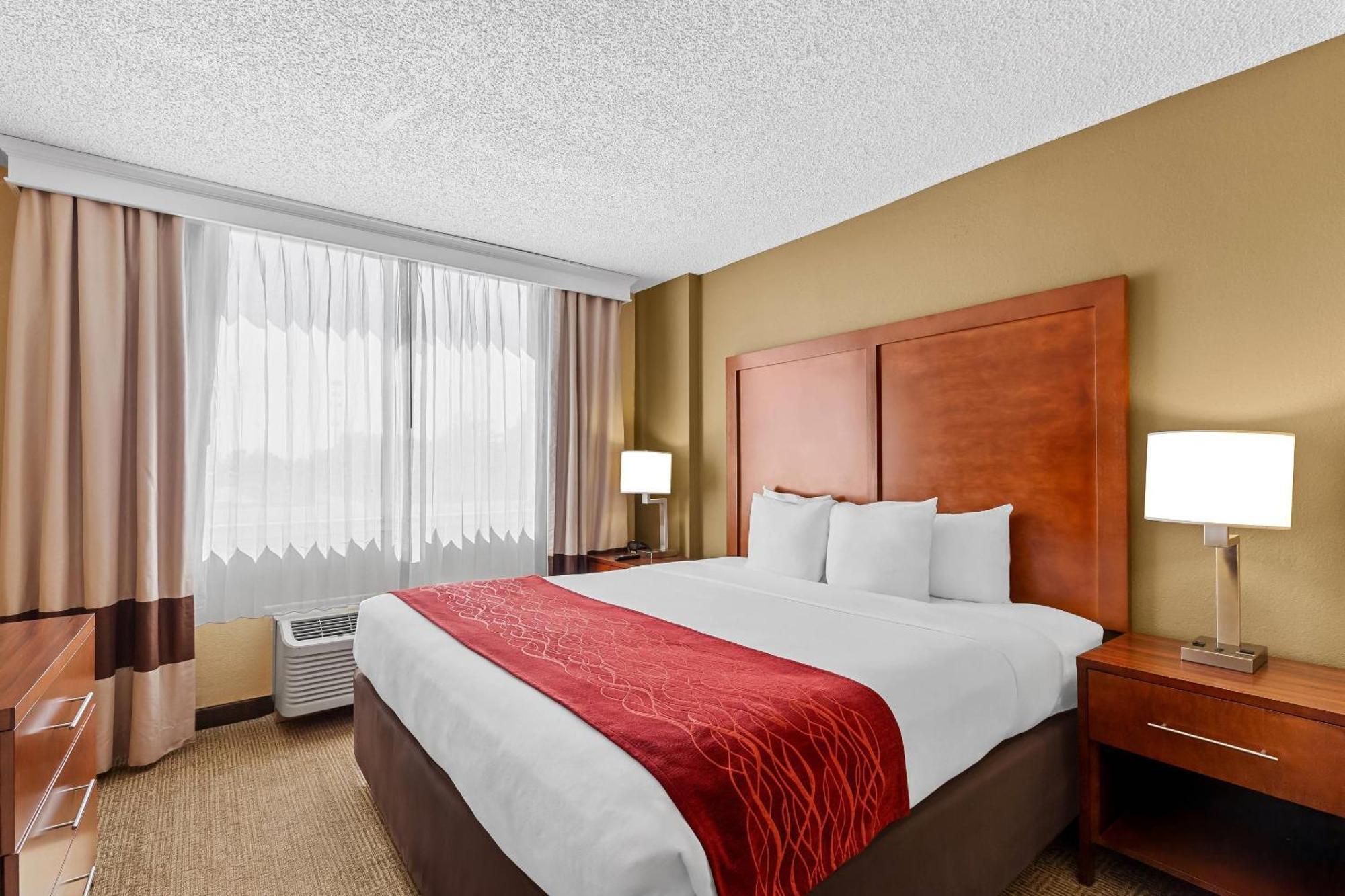 King Suite One Kind Bed Non-Smoking