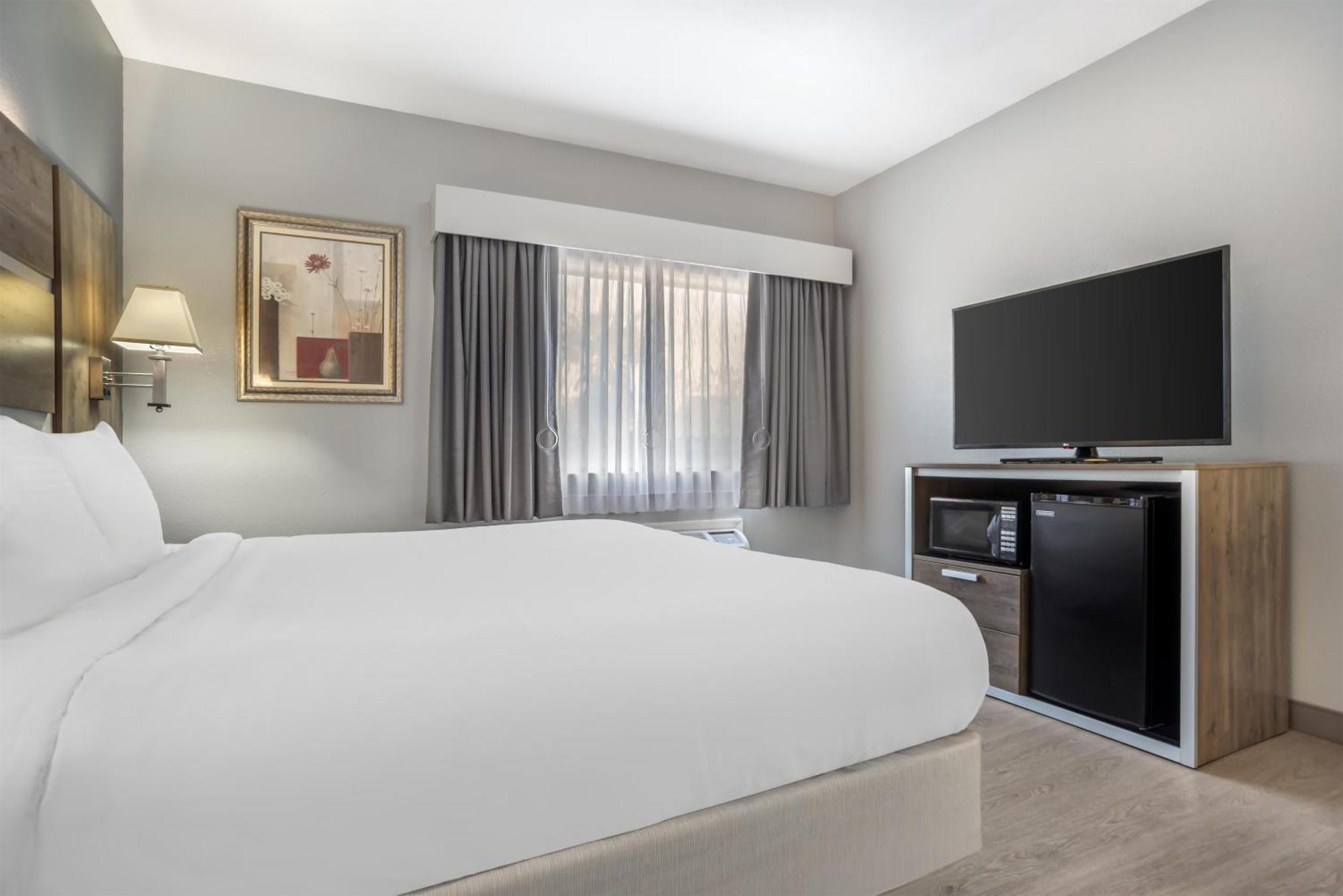 King Room with Roll-In Shower - Mobility Access/Communication Assistance