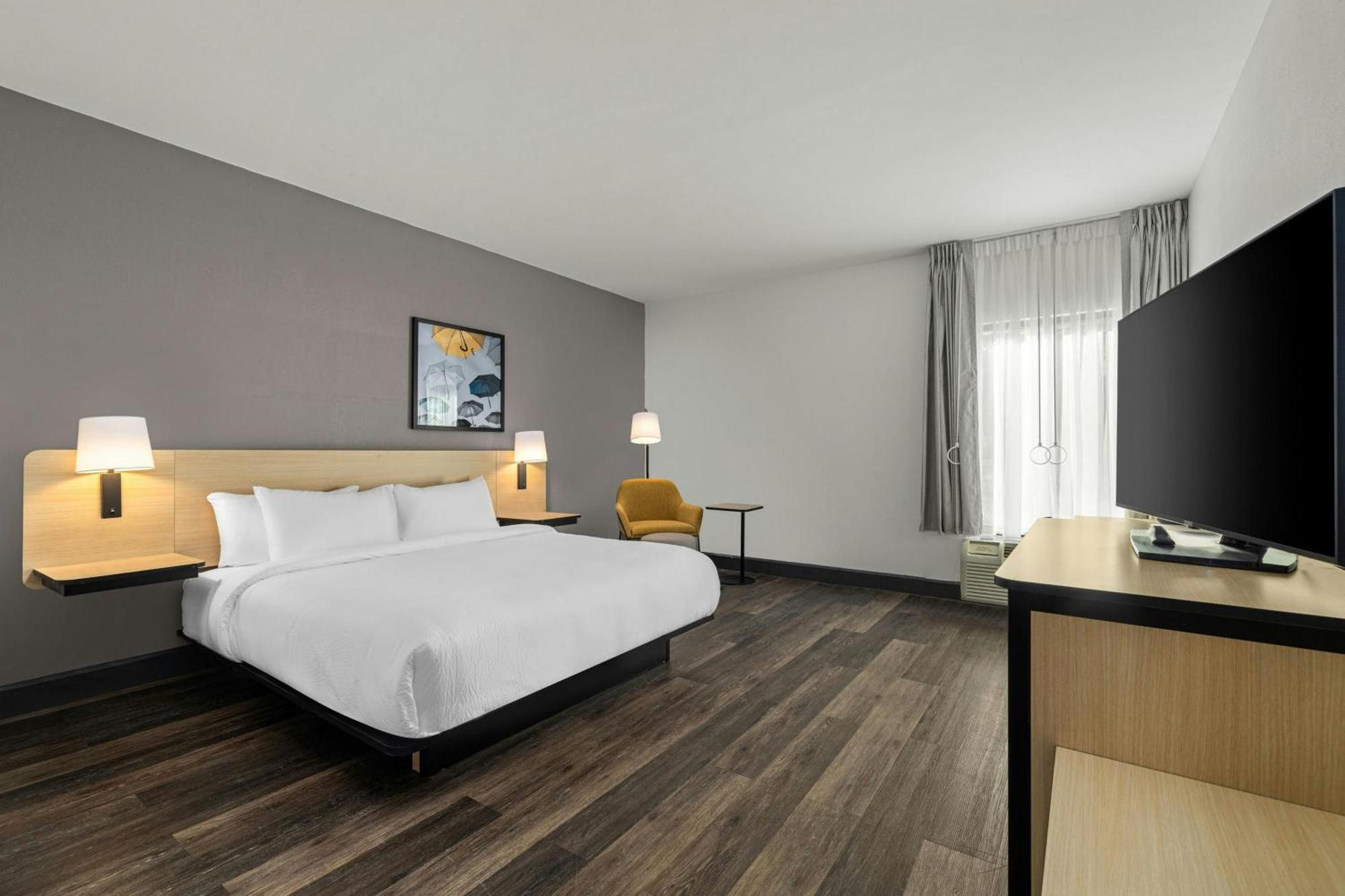 King Room