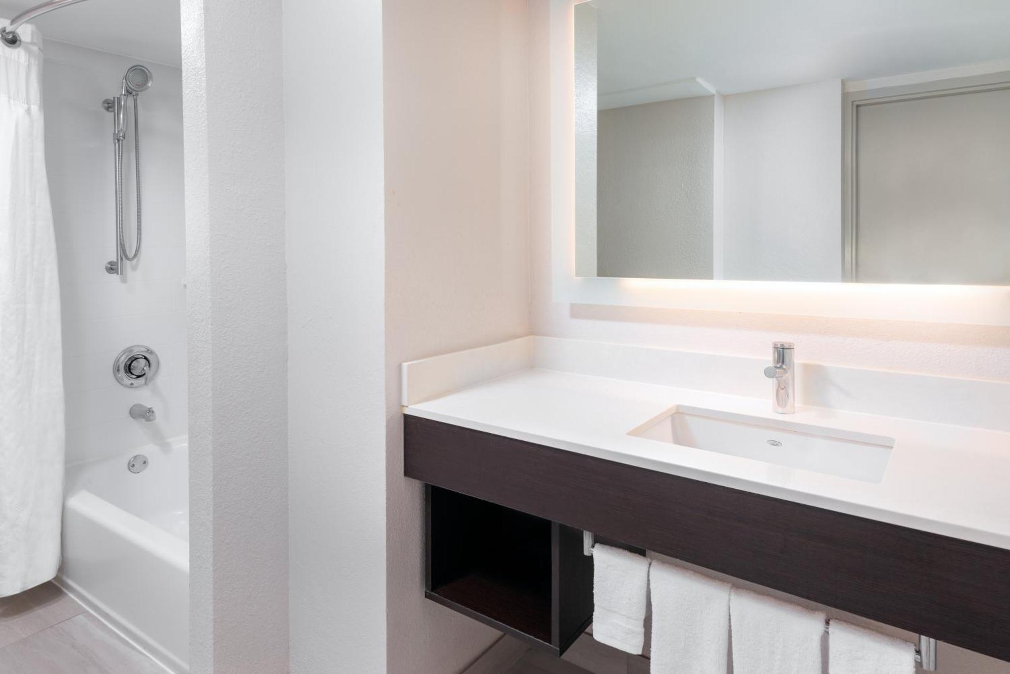 Standard King Room Accessible Tub Mobility Access