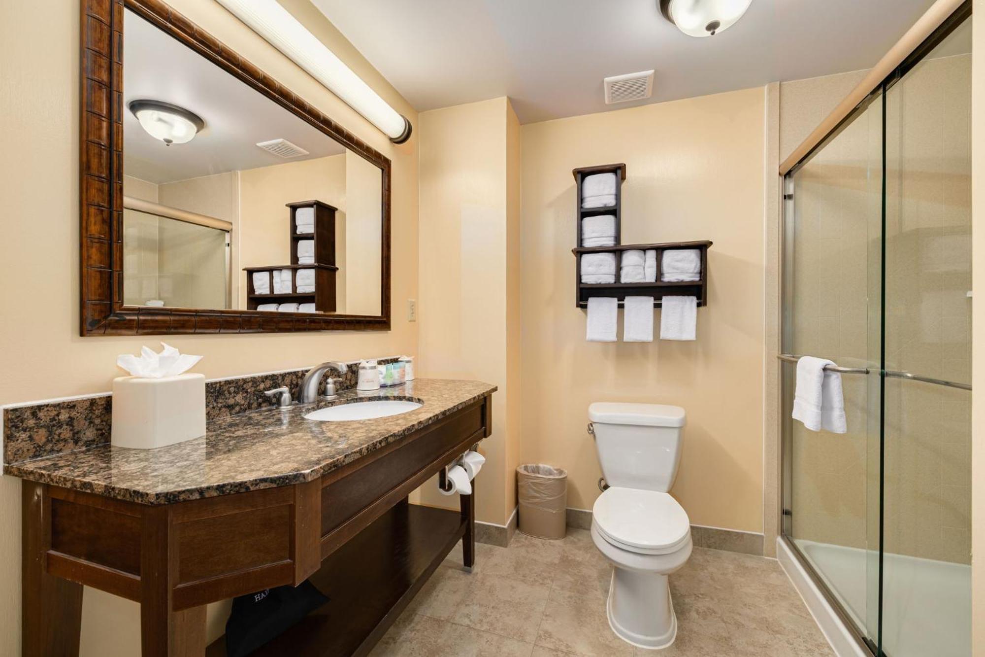 King Room Partial Water View