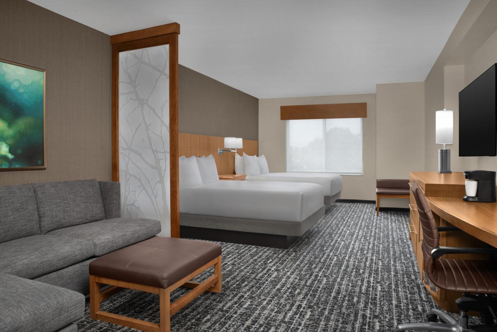 King Room Sofa Bed