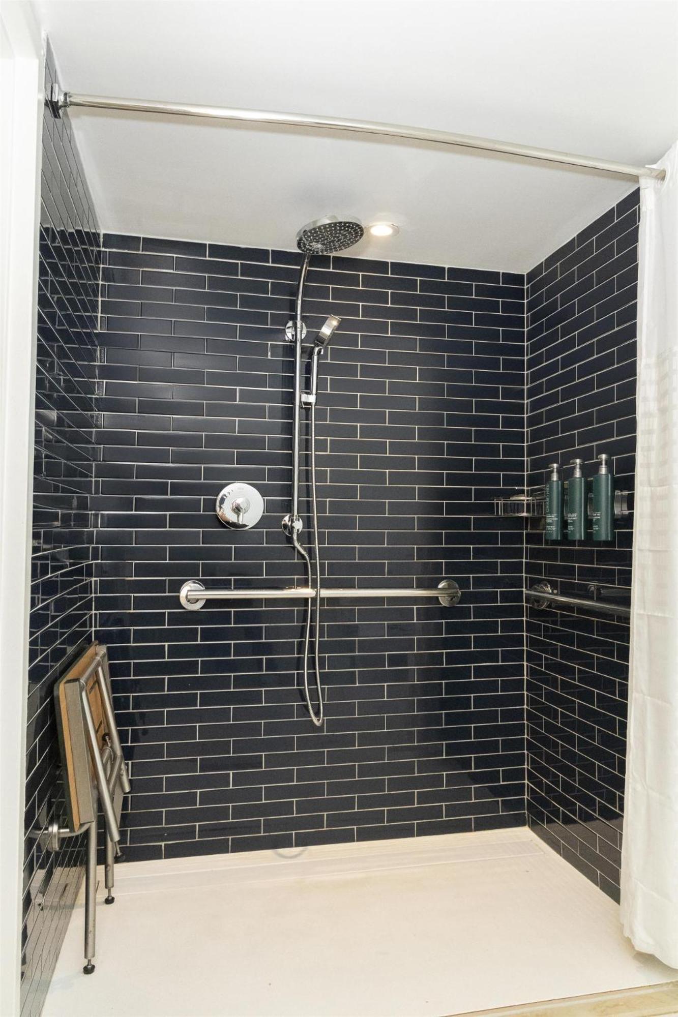 King Room Roll Shower Mobility or Hearing Accessible