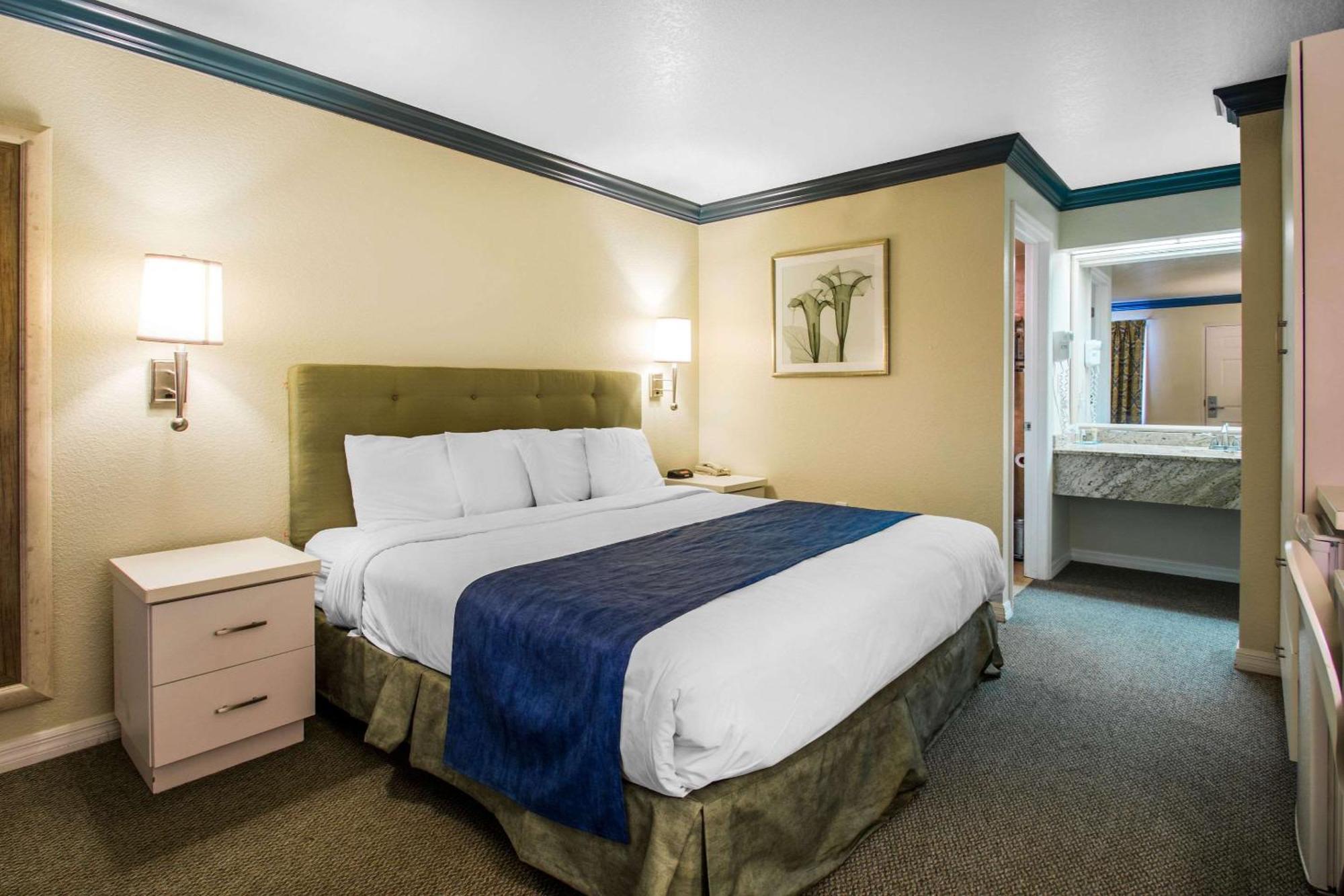 King Room Accessible or Non-Smoking