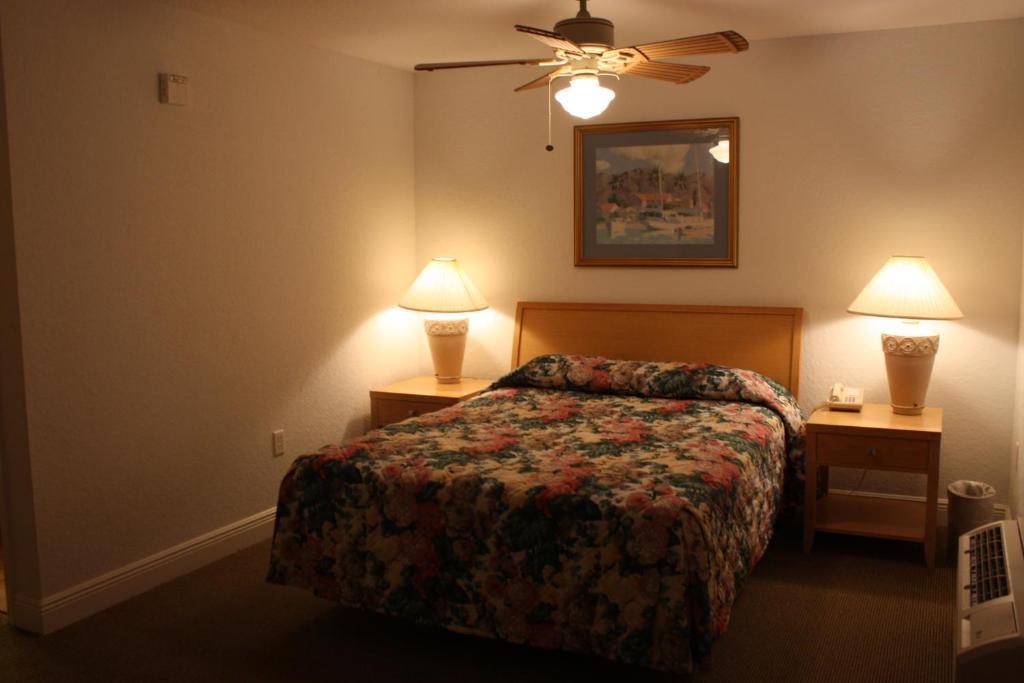 King Suite Lake View,63165838:JPEG