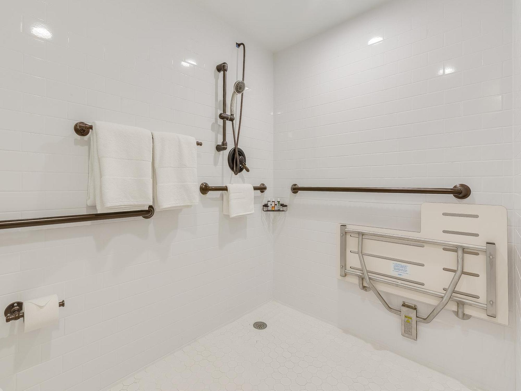 King Room Roll Shower Disability Access