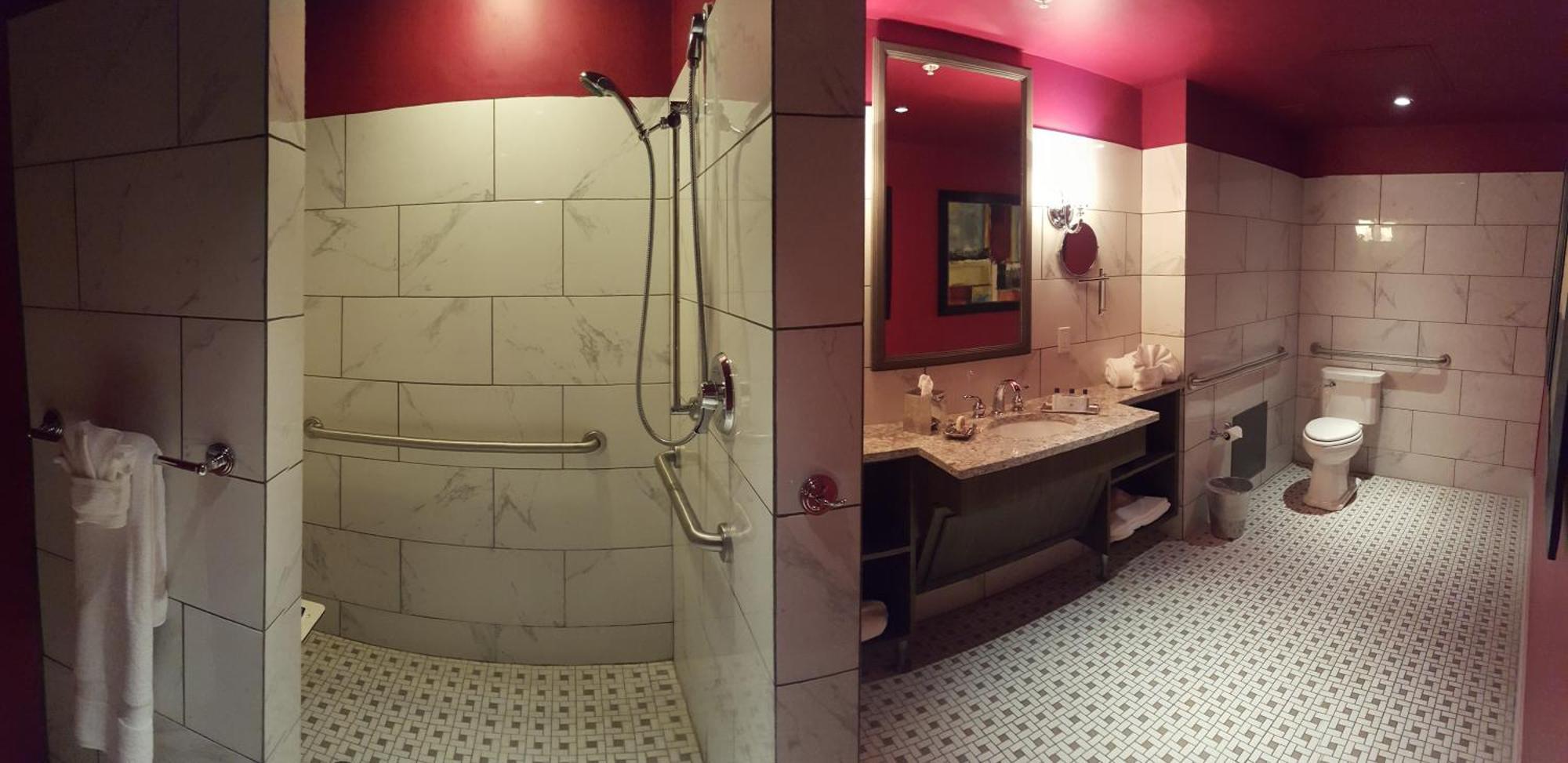 King Room Disability Access Walk Shower Only