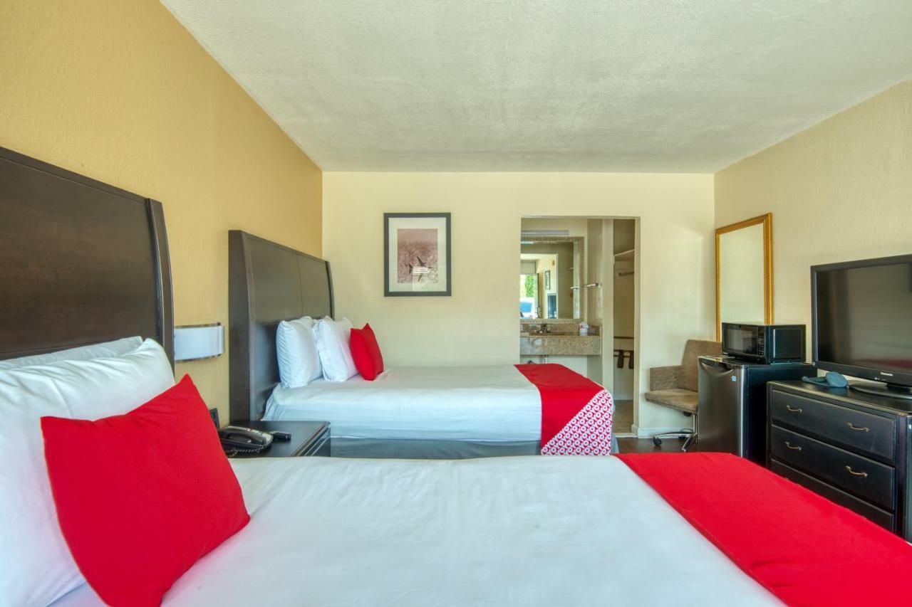 Double Room with Two Double Beds,974889031:JPEG