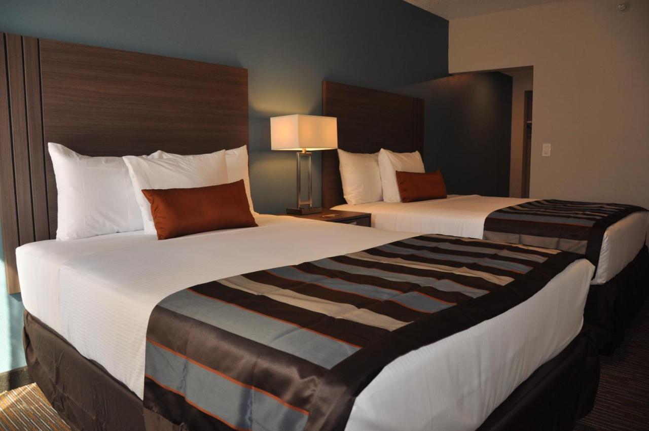 Suite Deluxe con cama extragrande