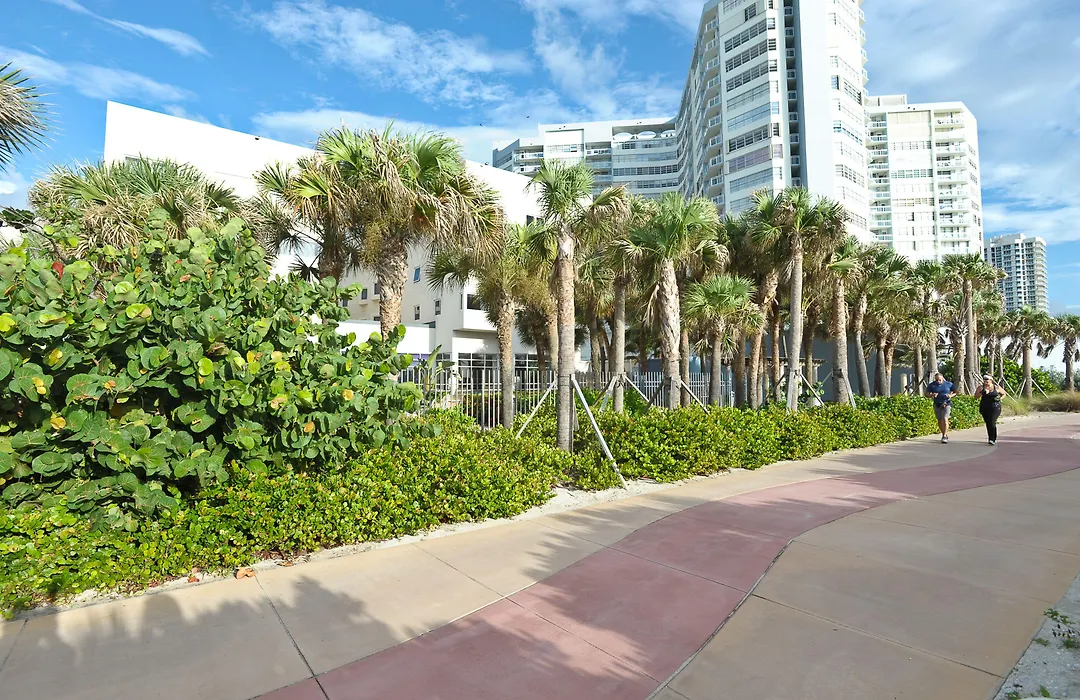 Crystal Beach Suites Miami Oceanfront Hotel-1