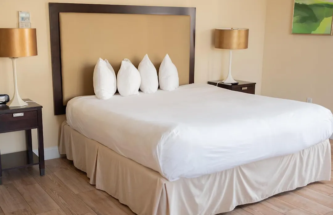 The Citrus Hotel-1