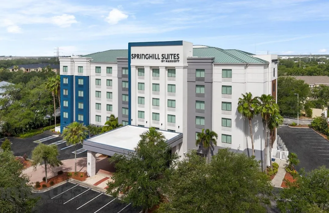 Springhill Suites By Marriott - Tampa Brandon-1