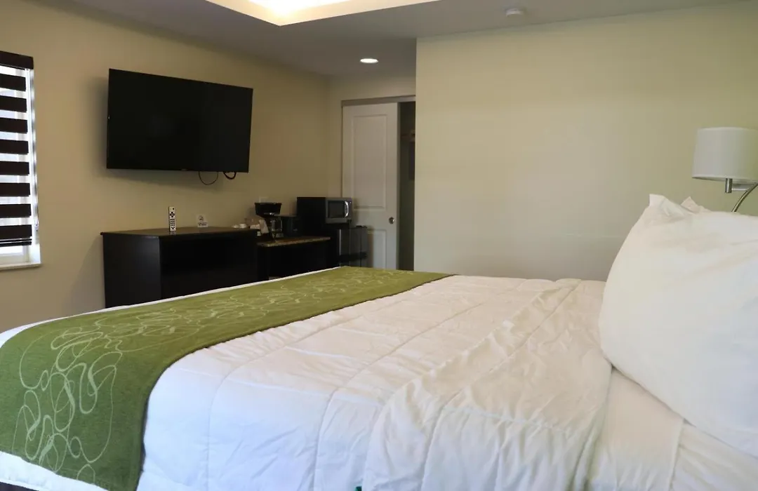 Curtis Inn & Suites-1