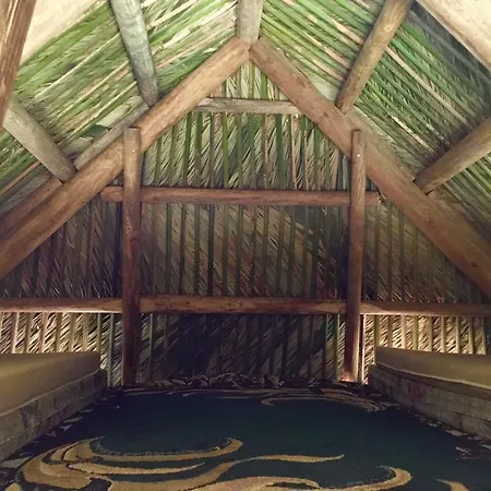 Everglades Chickee Cottage & Bungalow - Ochopee-3