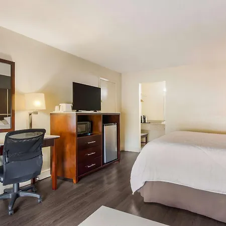 Surestay Hotel By Best Western Sarasota Lido Beach-3